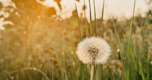 Spring hydration: how to adapt to Canada’s changing temperatures