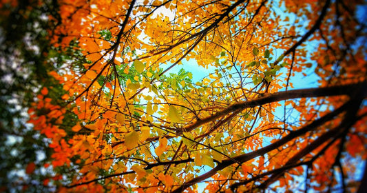 Hydration and Indian Summer: how to adapt to warm days and cool evenings