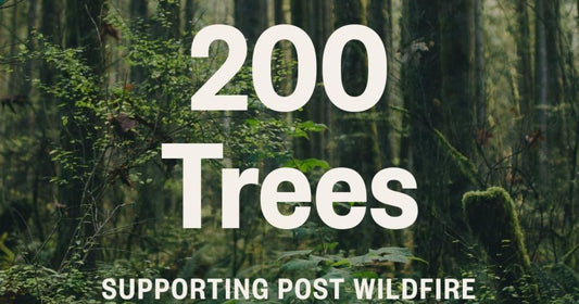 Trees for tomorrow: Ö Hydration takes action for Canada’s forests