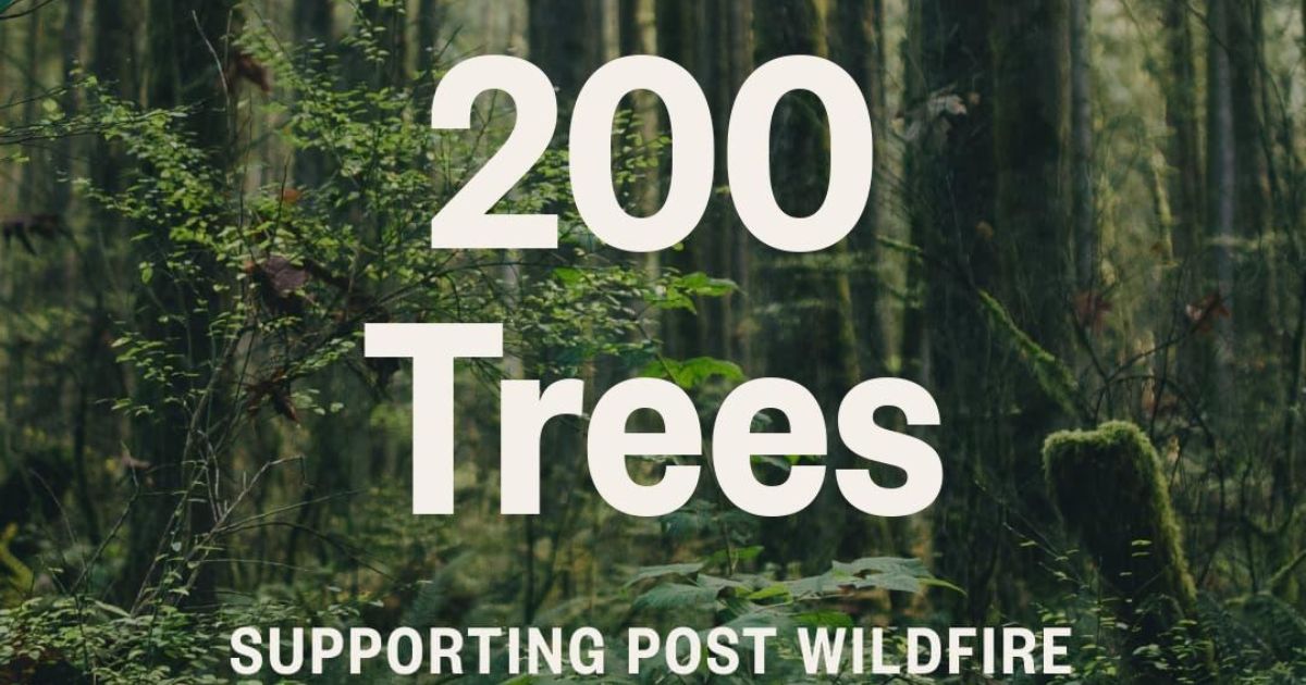 Trees for tomorrow: Ö Hydration takes action for Canada’s forests